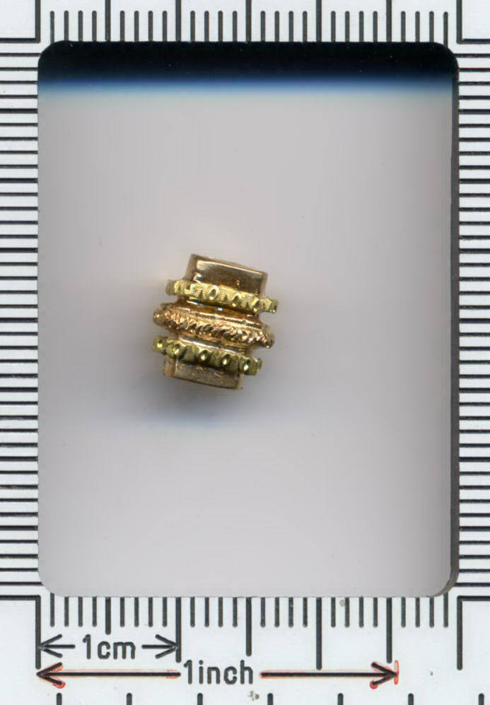 VICTORIAN BICOLORED GOLDEN SLIDE