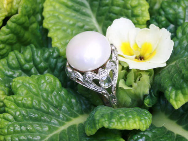 White gold estate engagement ring with impressive pearl and diamonds (image 5 of 7)