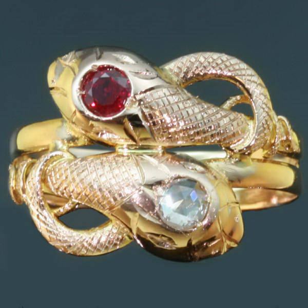 Gold snake ring with deals ruby eyes meaning